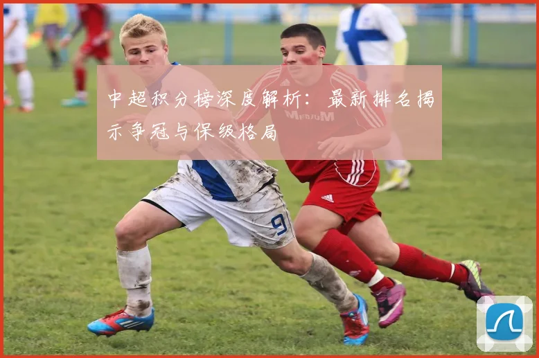 中超积分榜深度解析：最新排名揭示争冠与保级格局