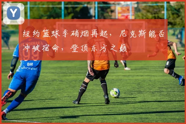纽约篮球季硝烟再起,尼克斯能否冲破宿命,登顶东方之巅